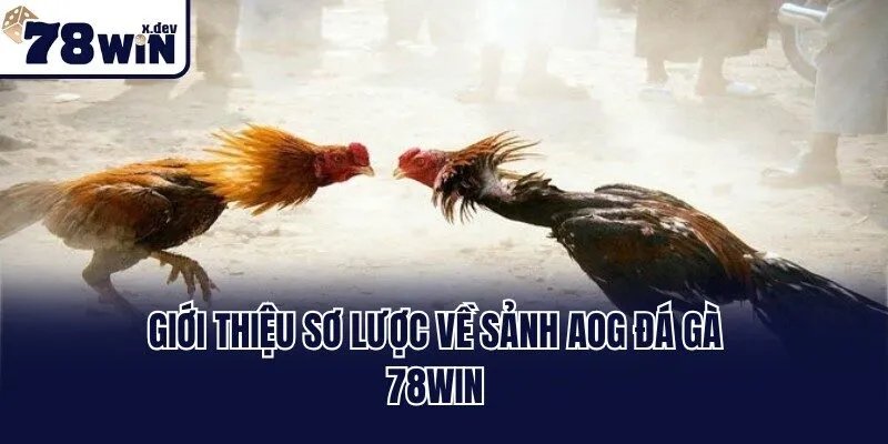 AOG Đá Gà 78win - Sảnh Cược Quy Tụ Chiến Kê Mạnh Nhất 1 Giới thiệu sơ lược về sảnh AOG đá gà 78win