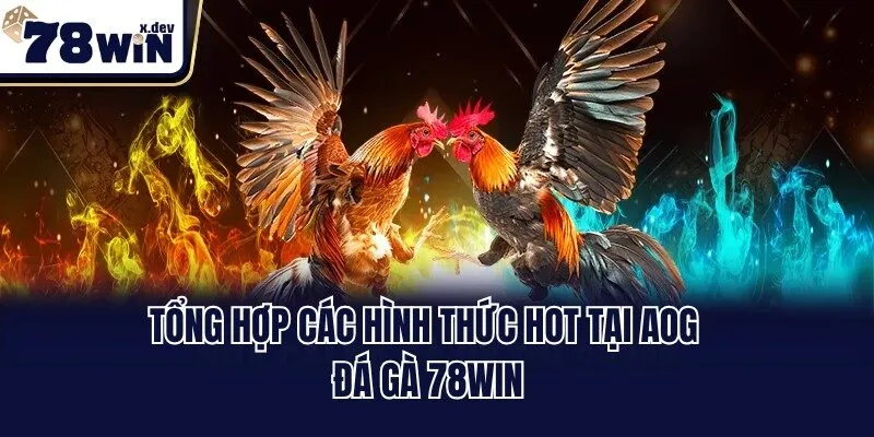 AOG Đá Gà 78win - Sảnh Cược Quy Tụ Chiến Kê Mạnh Nhất 3 Tổng hợp các hình thức hot tại AOG đá gà 78win
