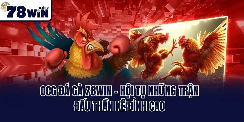 OCG Đá Gà 78win - Hội Tụ Những Trận Đấu Thần Kê Đỉnh Cao
