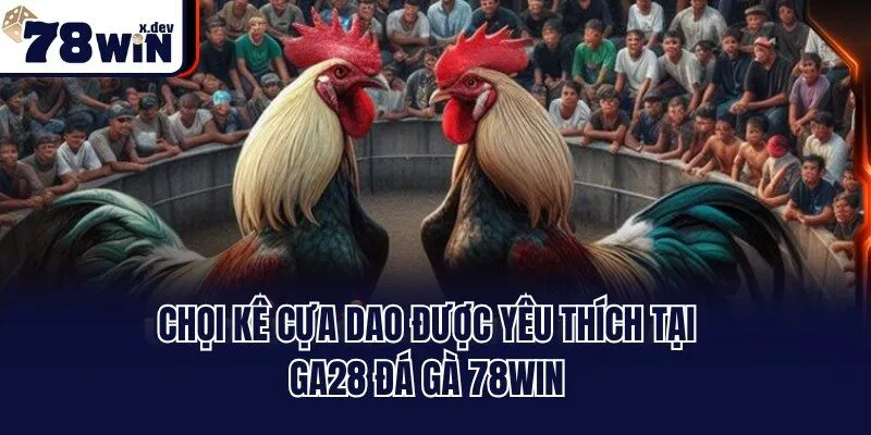 Chọi kê cựa dao được yêu thích tại GA28 đá gà 78win